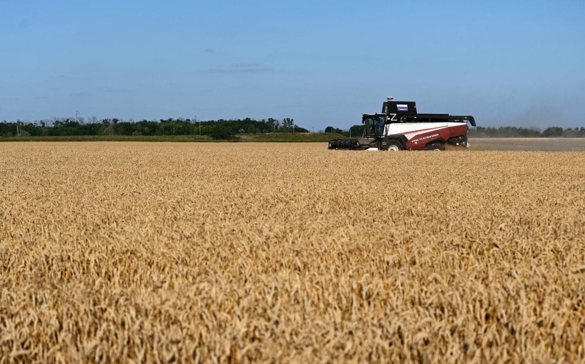 Décadas de ganhos na produção agrícola e estoques fortalecem sistema alimentar diante do "super" El Niño