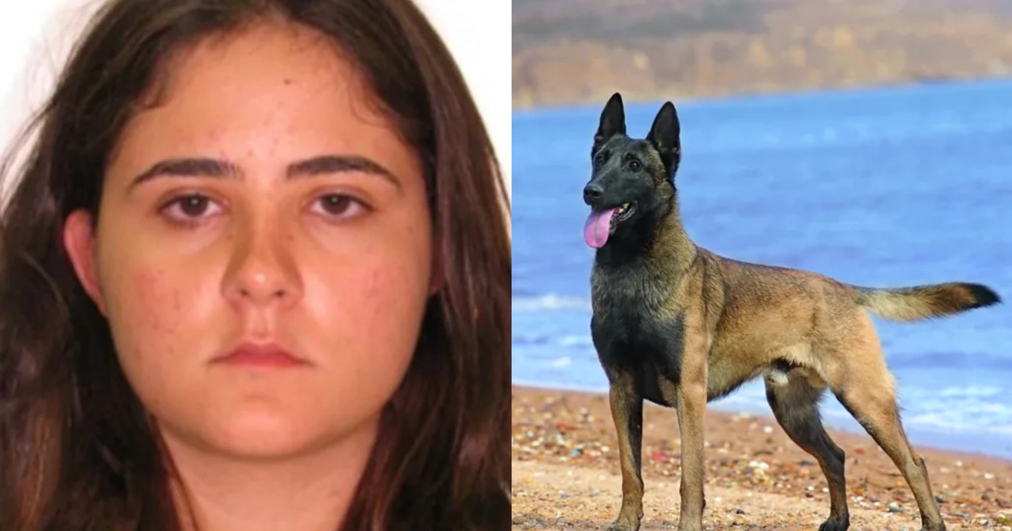 Veterinária atacada por cão no Senado Federal não resiste e morre