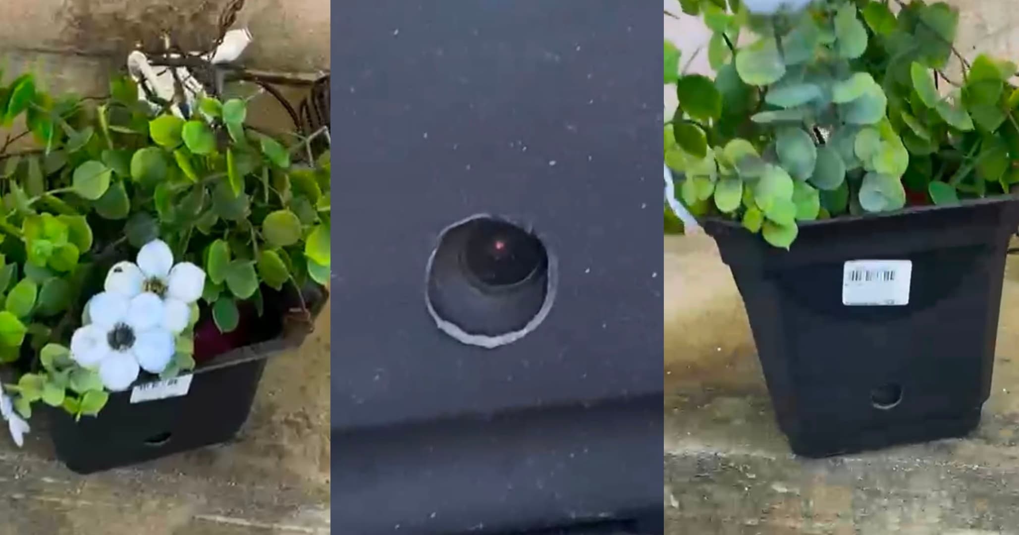 PM descobre câmeras escondidas em vasos de planta na Avenida Suburbana