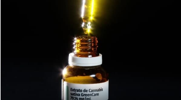 Autorizações para importação de cannabis aumentam 29% em 2026