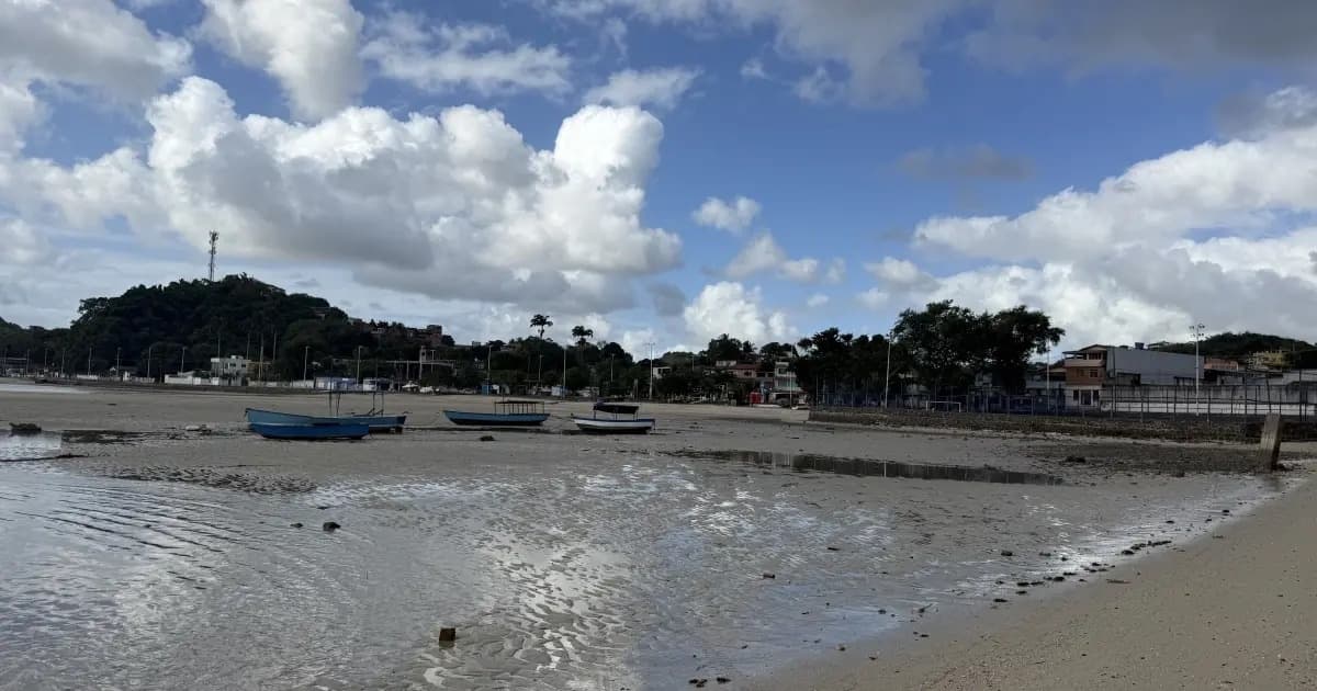 Justiça Federal bloqueia R$ 387 milhões em bens da Intermarítima e Gerdau por danos ambientais em São Tomé de Paripe 