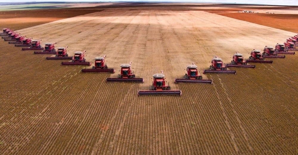 Impulsionado principalmente pela agropecuária, PIB brasileiro cresce 0,5% no segundo trimestre do ano