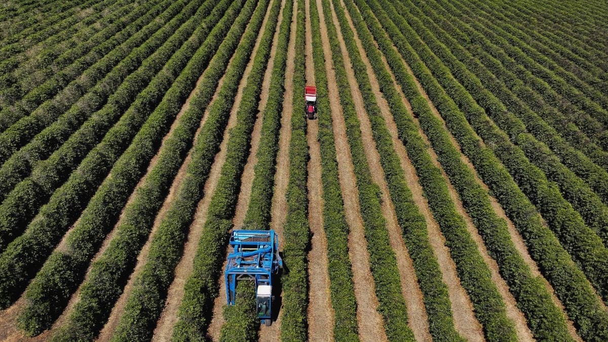 Crescimento do PIB do Brasil desacelera a 0,5% no segundo trimestre, mostra IBGE