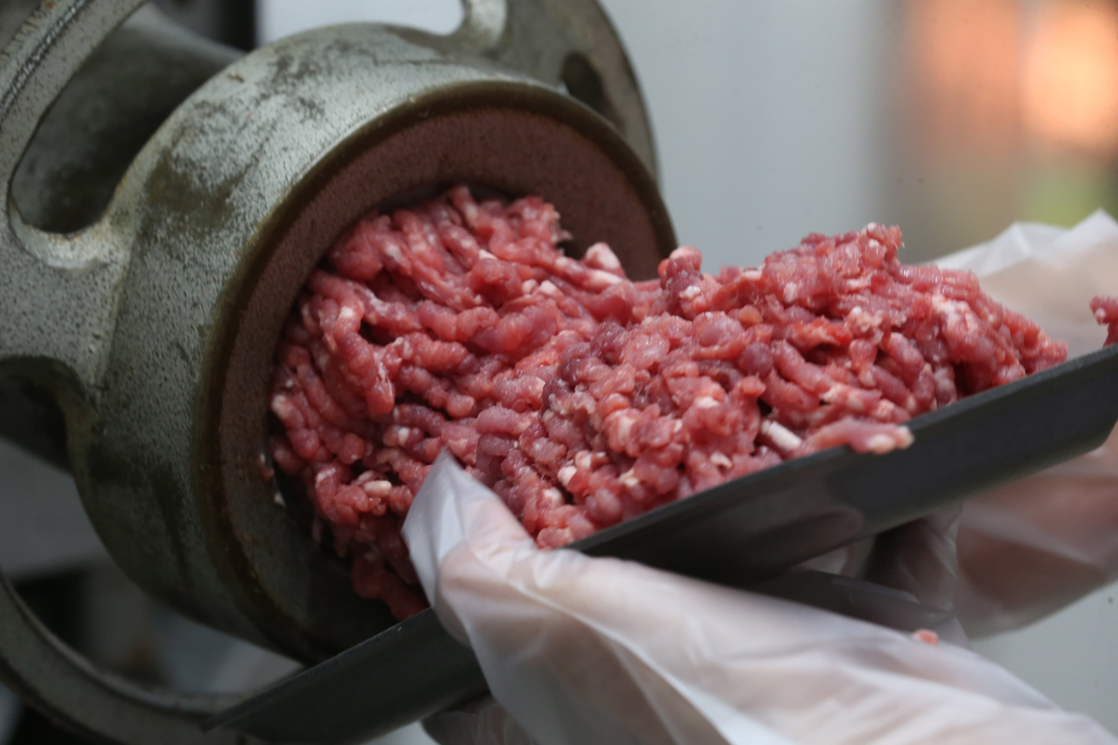 União Europeia suspende importação de carnes, ovos e mel do Brasil