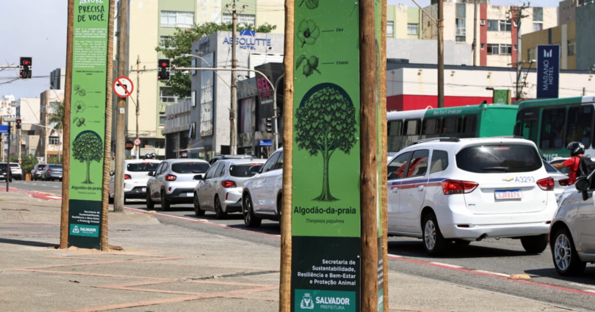 Corredor Verde da Pituba passa por processo de revitalização 