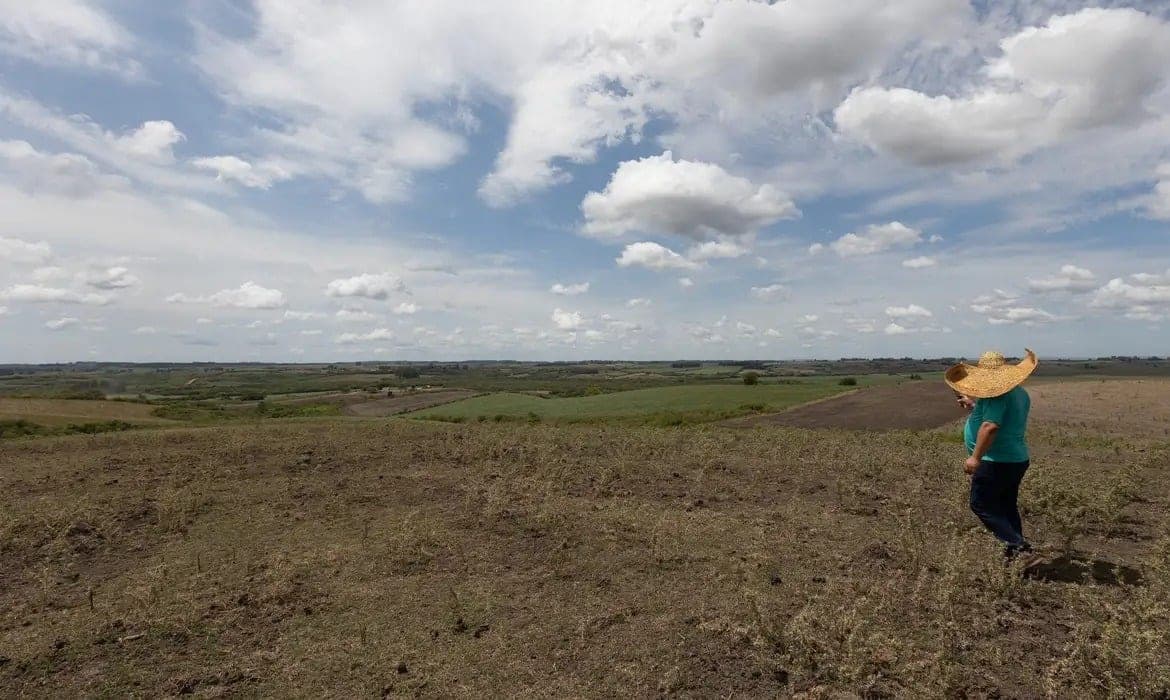 Com foco no semiárido, Bahia envia plano contra o El Niño e se destaca frente a quase metade dos estados; entenda