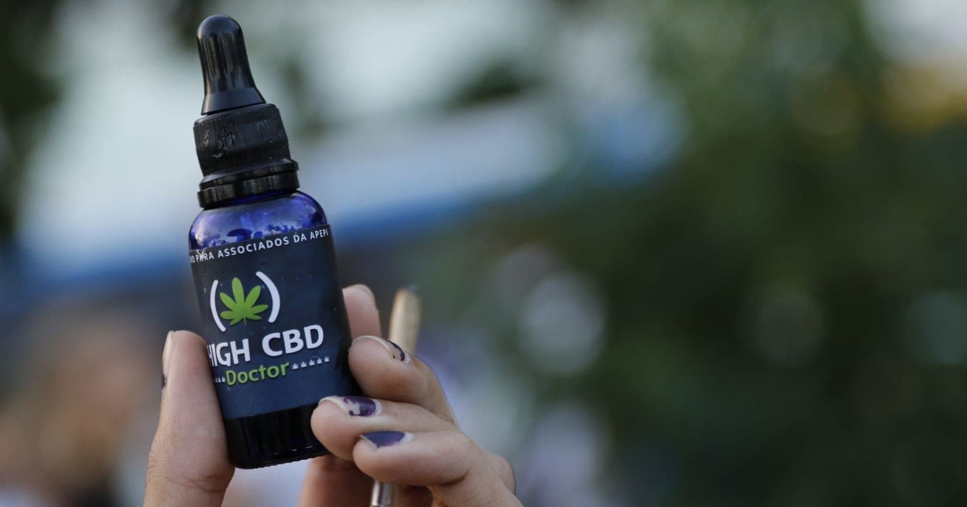 Justiça concede salvo-conduto para homem realizar cultivo de maconha medicinal na Bahia