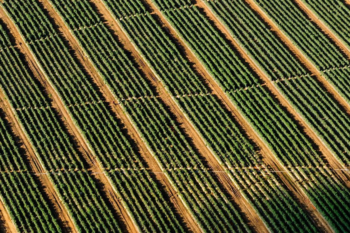 Citi prevê que o Fed fará um aumento "dovish" na próxima semana